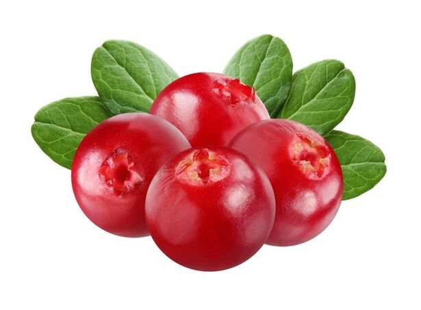 Cranberry - Ingredients of Uromexil